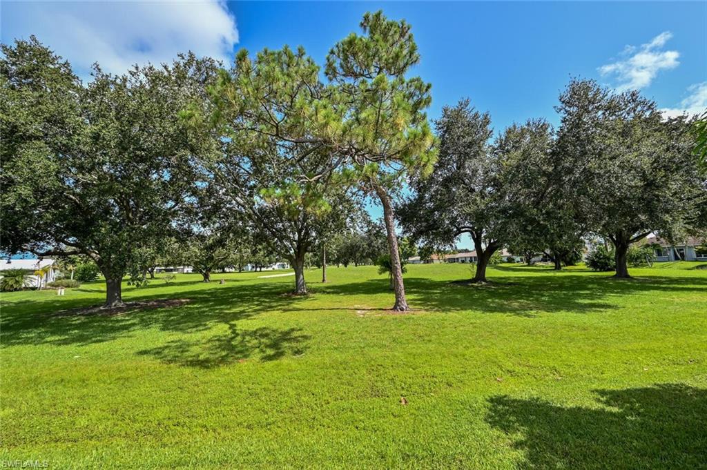 117 Estelle DR