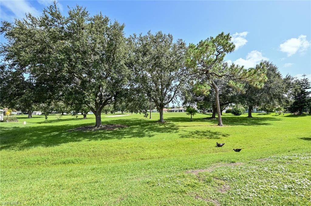 117 Estelle DR