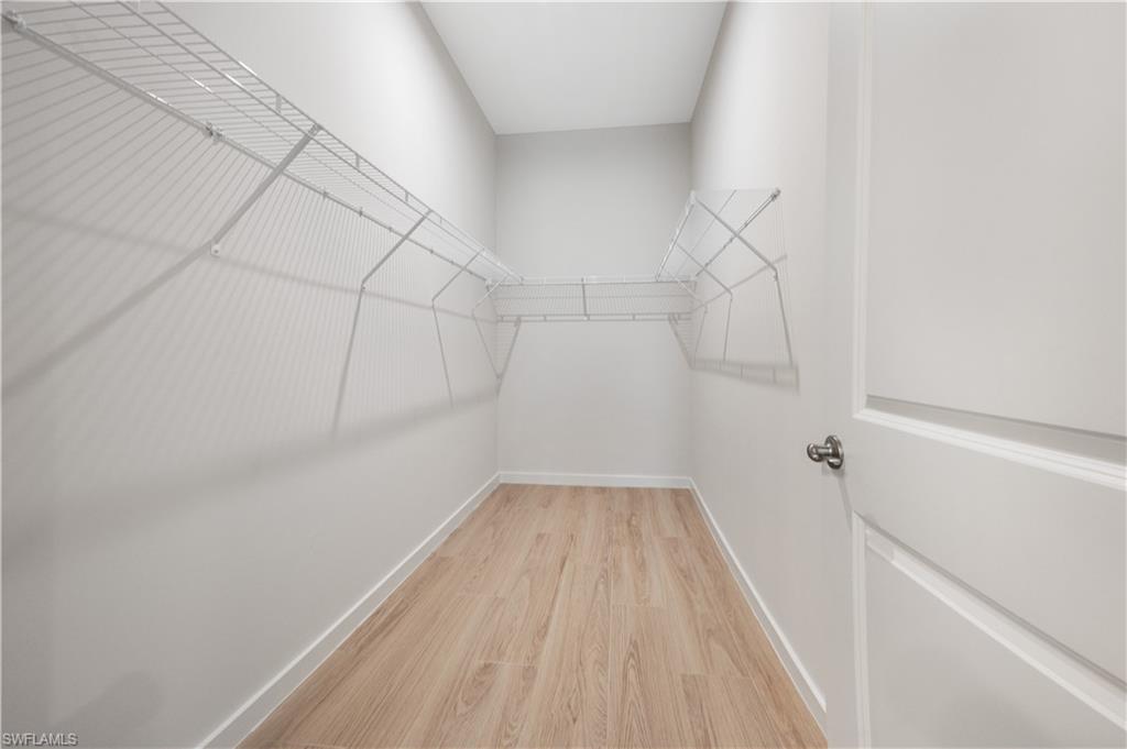 14544 Kingfisher LOOP