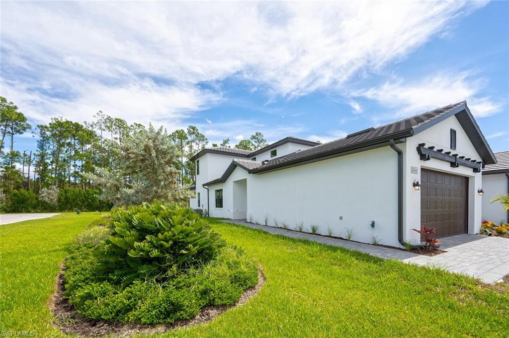 14544 Kingfisher LOOP