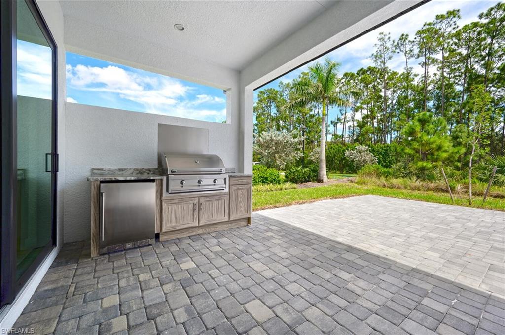 14544 Kingfisher LOOP