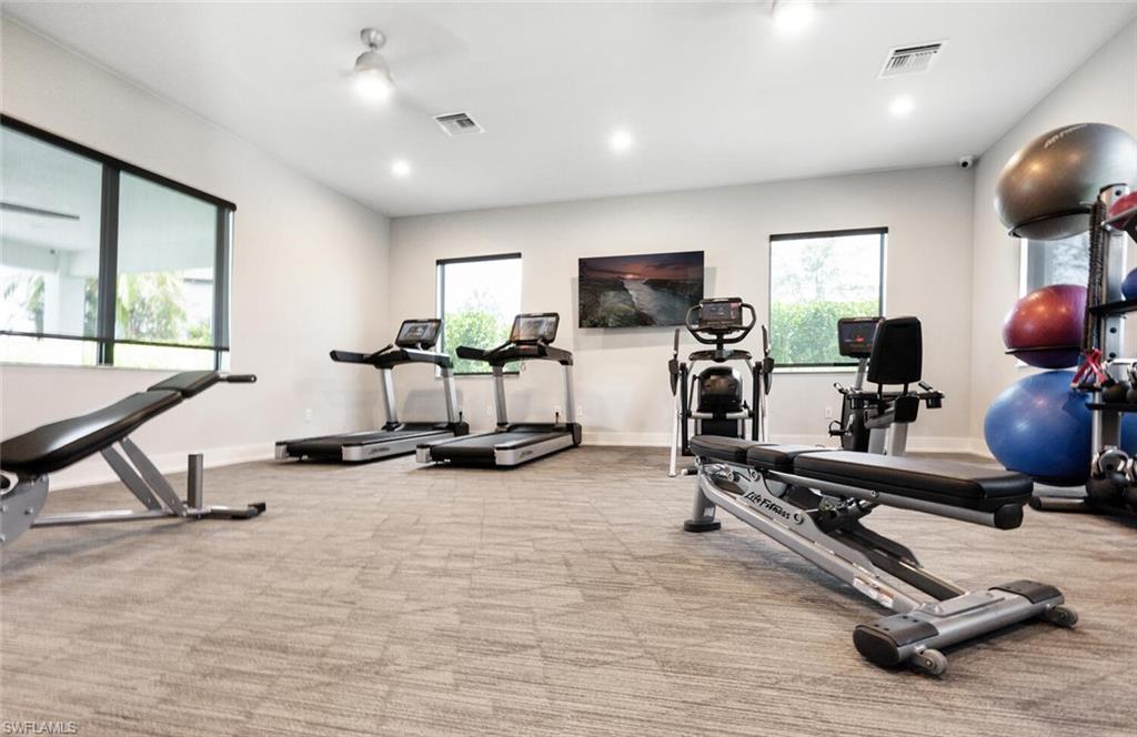 14544 Kingfisher LOOP