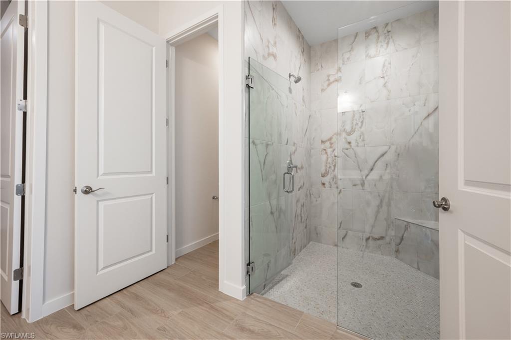 14544 Kingfisher LOOP