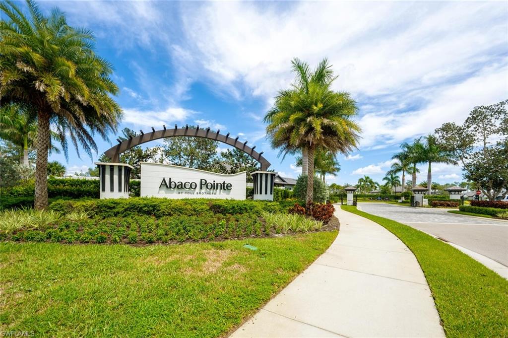 14544 Kingfisher LOOP