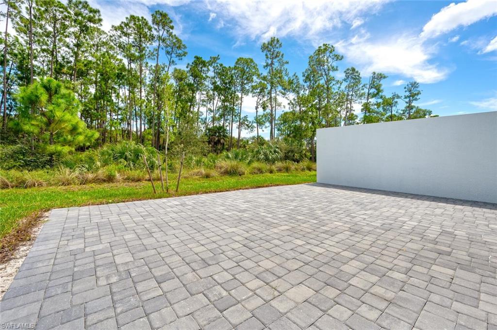 14544 Kingfisher LOOP