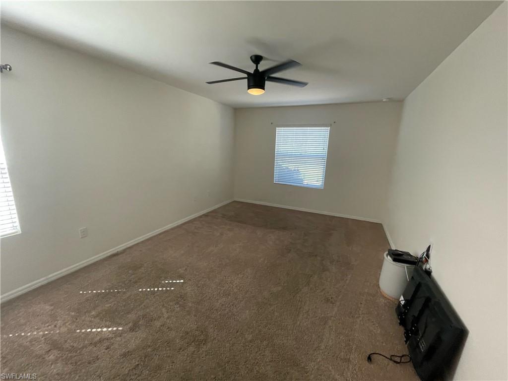 8129 Gopher Tortoise TRL