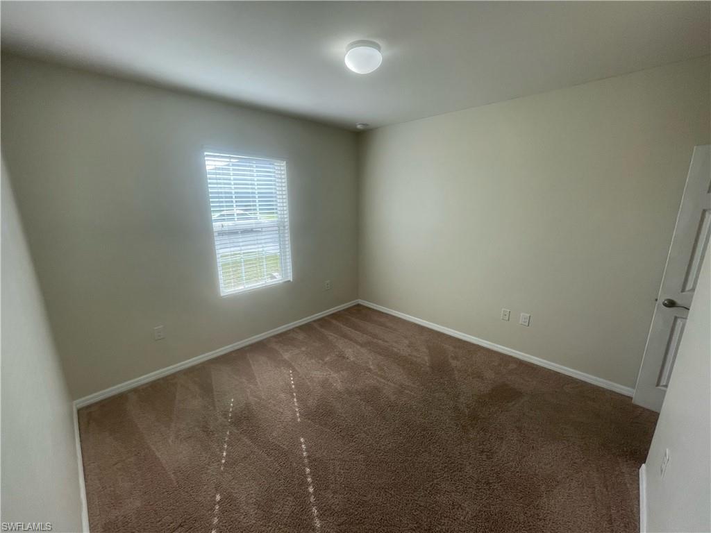 8129 Gopher Tortoise TRL