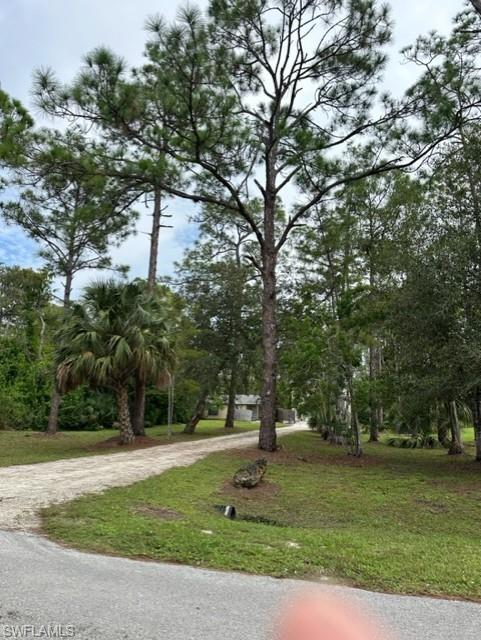 25211 Catskill DR