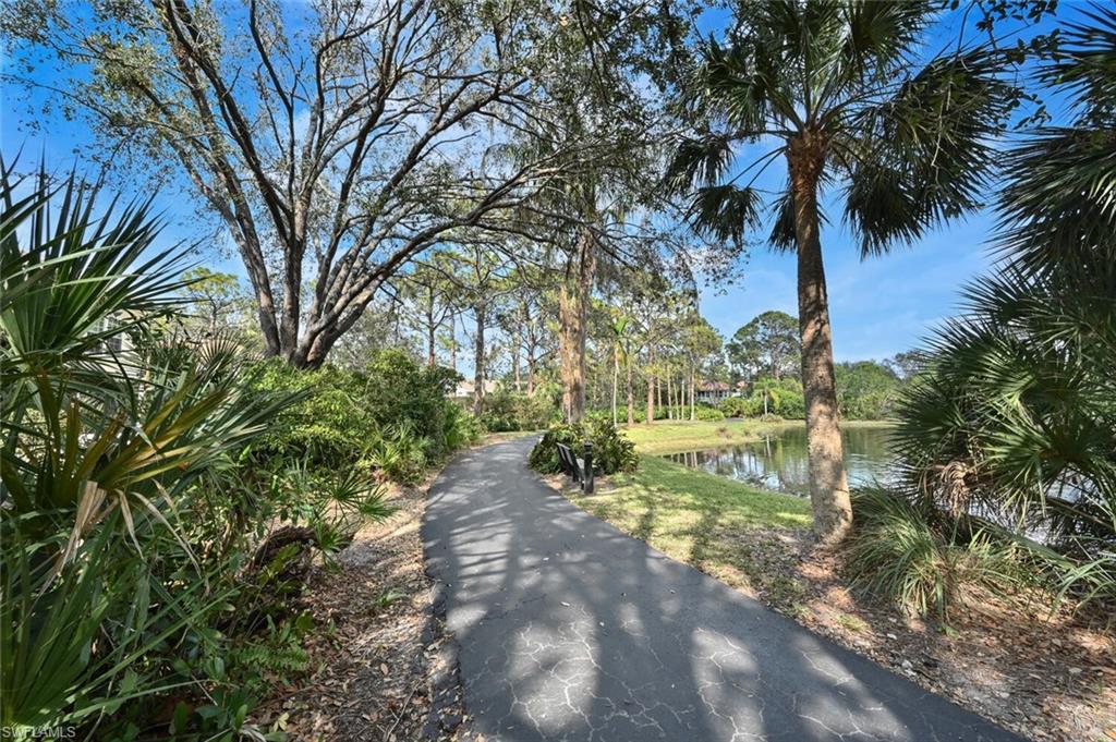 338 Carinosa CT Unit: 18-8