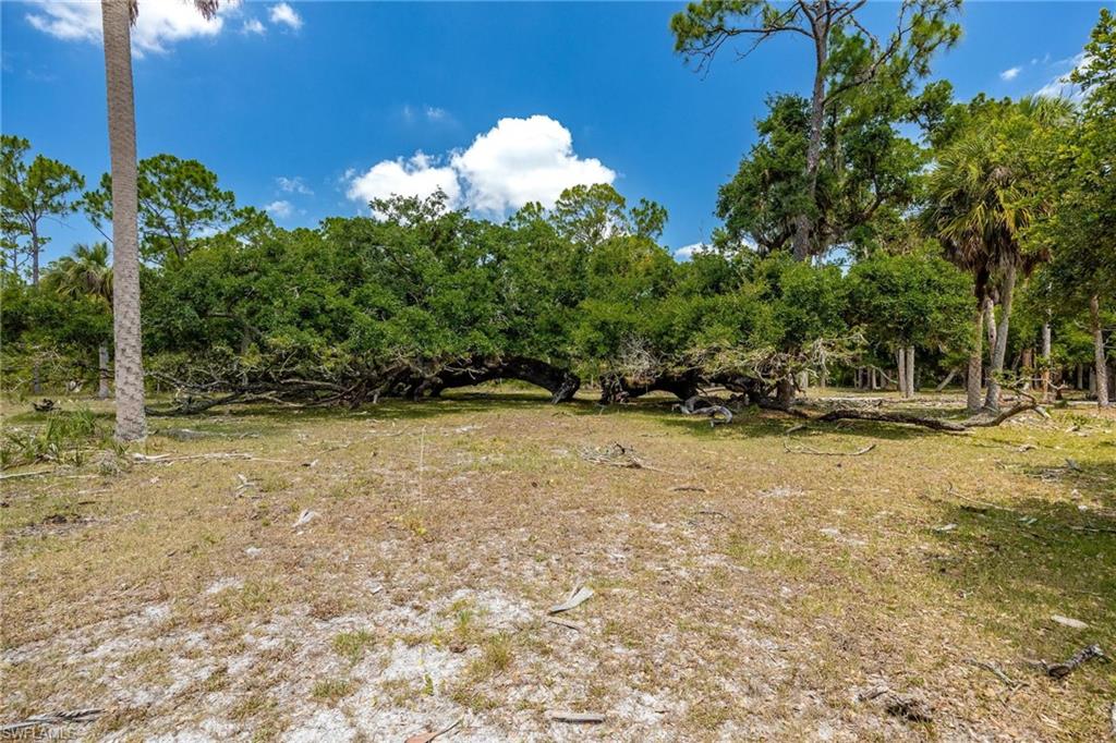 18301 Old Bayshore RD