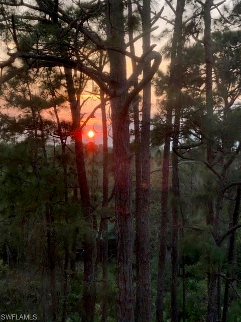 270 Naples Cove DR Unit: 3406