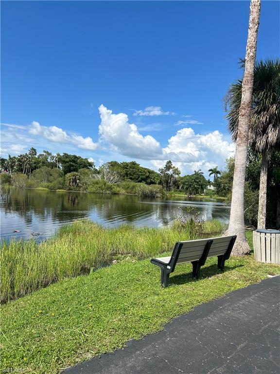 270 Naples Cove DR Unit: 3406