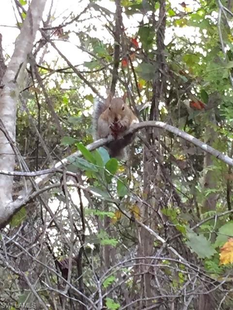 270 Naples Cove DR Unit: 3406