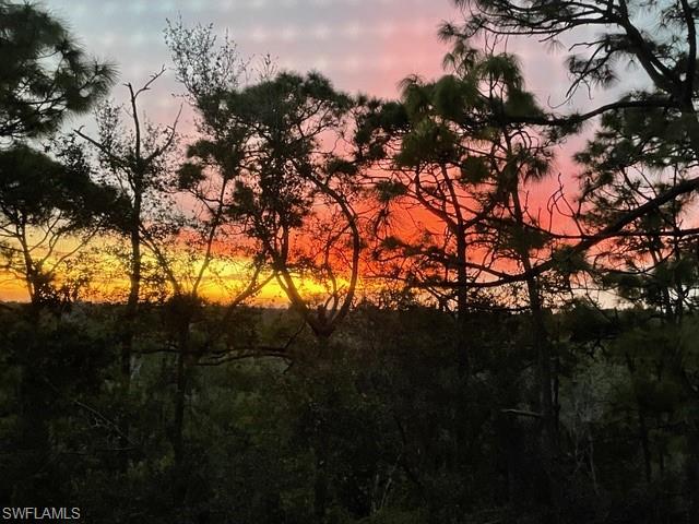 270 Naples Cove DR Unit: 3406