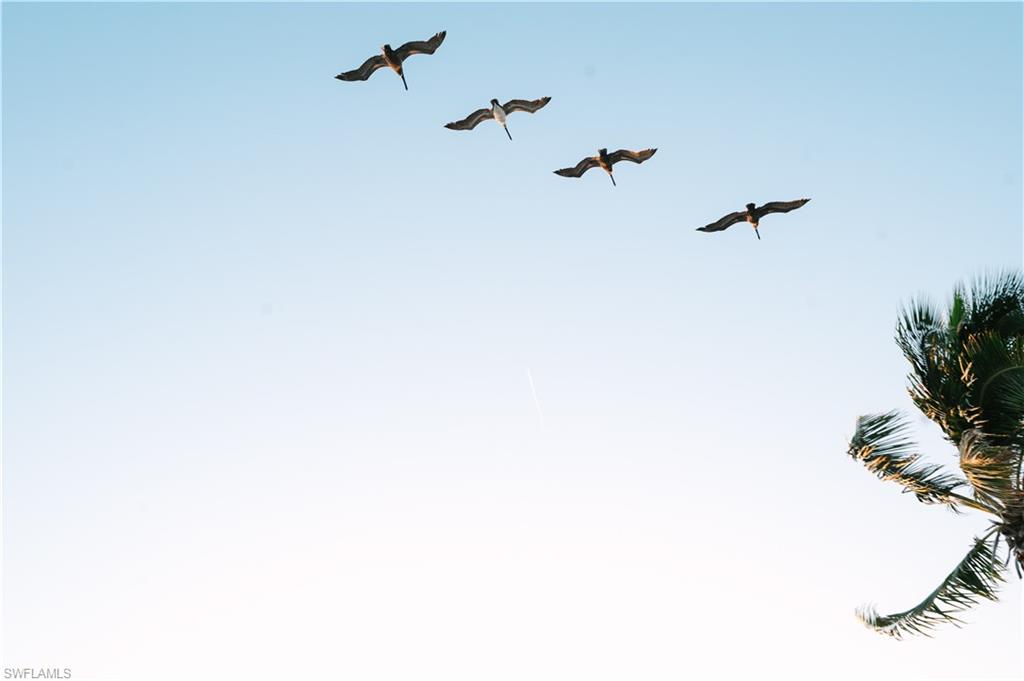 5600 Bonita Beach RD SW # 4806