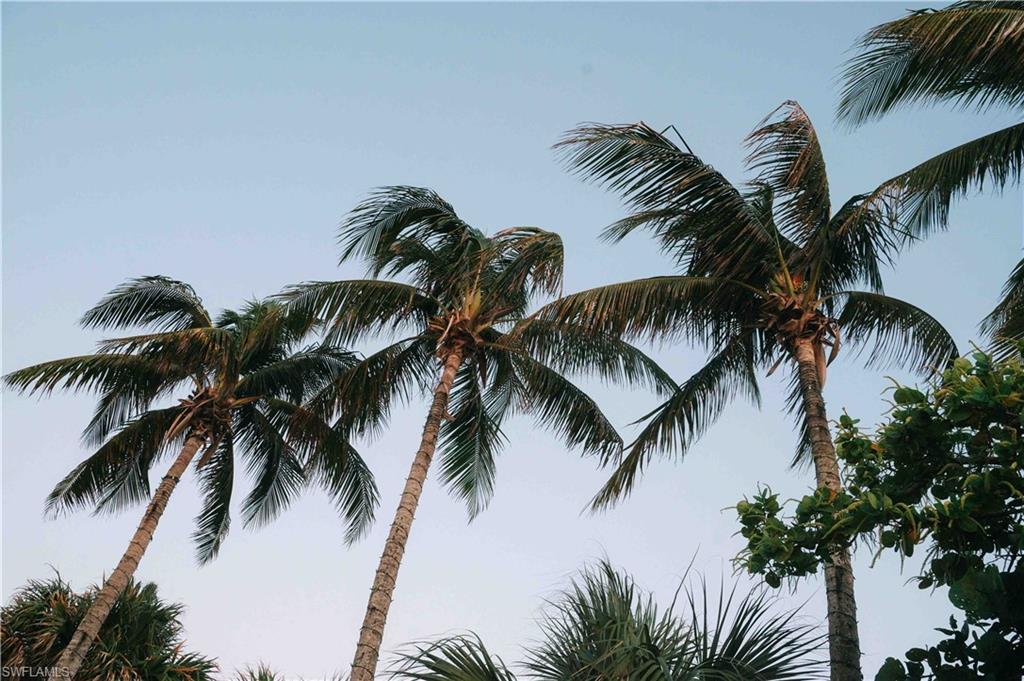 5600 Bonita Beach RD SW # 4806