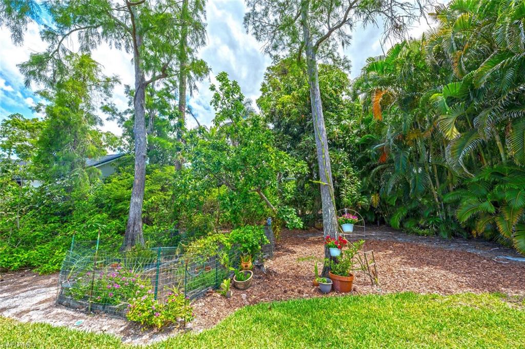 1794 Knights CT