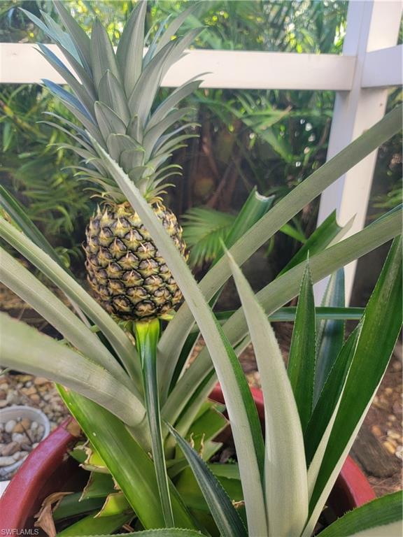 15063 Sterling Oaks DR, NAPLES