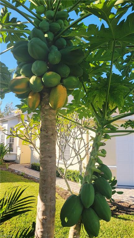 15063 Sterling Oaks DR, NAPLES