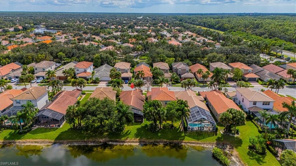 1630 Triangle Palm TER