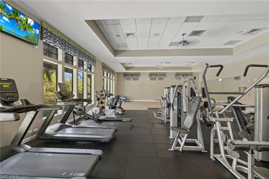 4260 Raffia Palm CIR