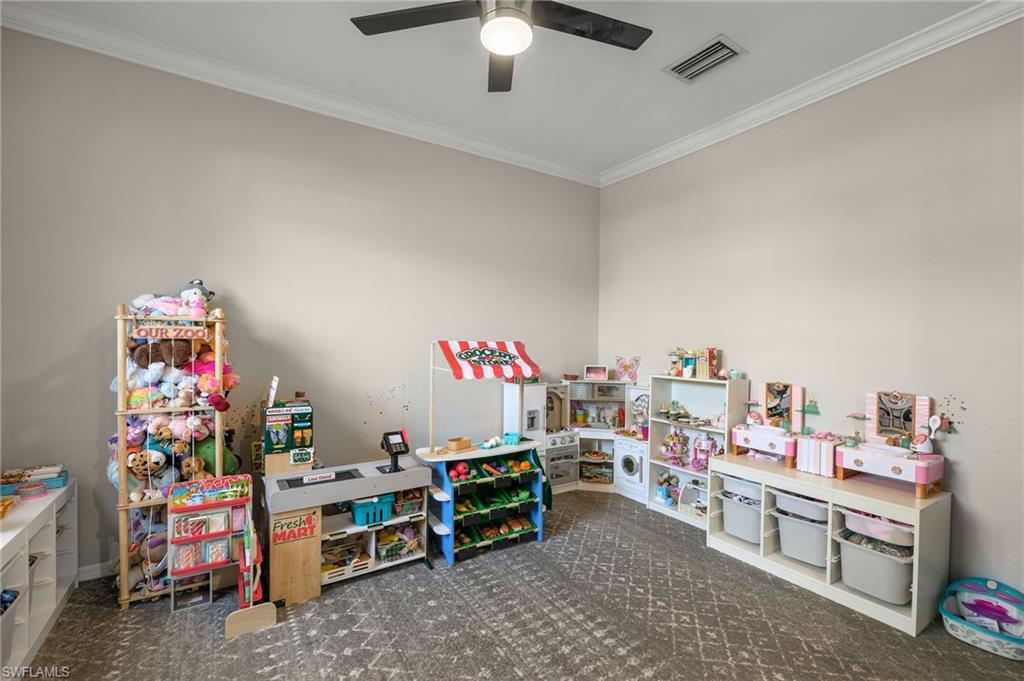 4260 Raffia Palm CIR