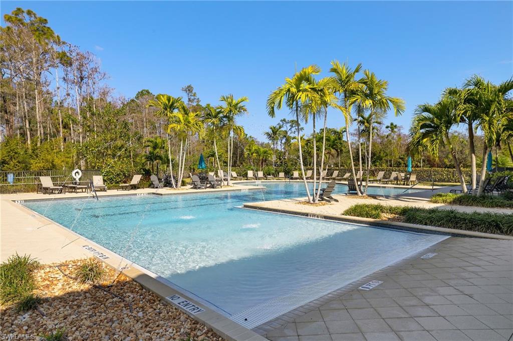 4260 Raffia Palm CIR