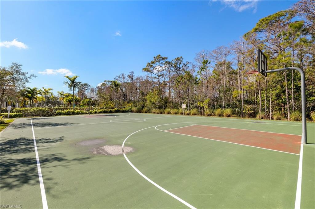 4260 Raffia Palm CIR