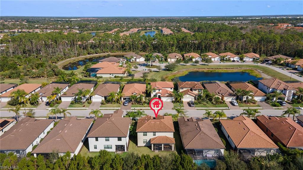 4260 Raffia Palm CIR