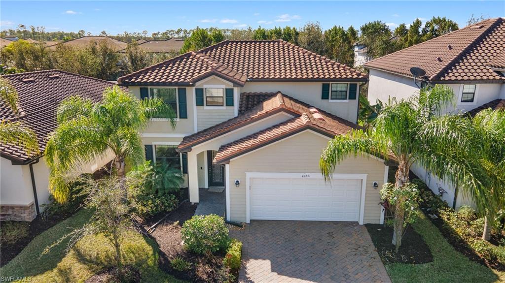 4260 Raffia Palm CIR