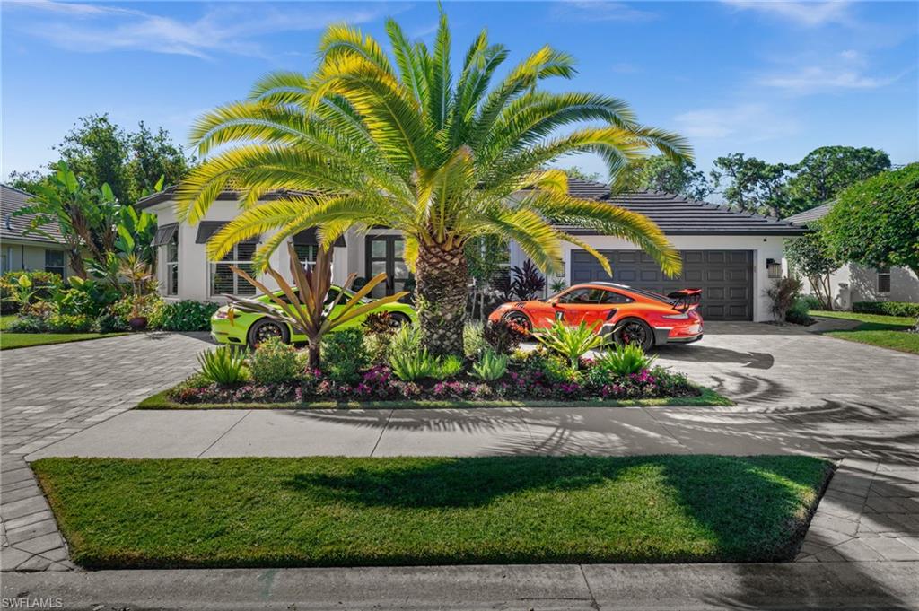 985 Spanish Moss TRL