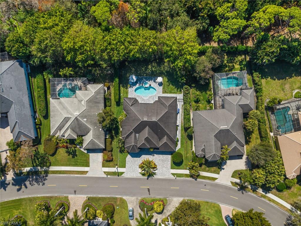 985 Spanish Moss TRL