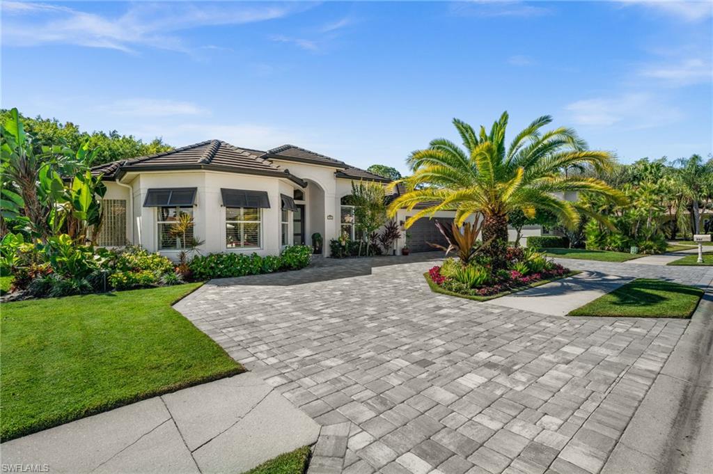 985 Spanish Moss TRL