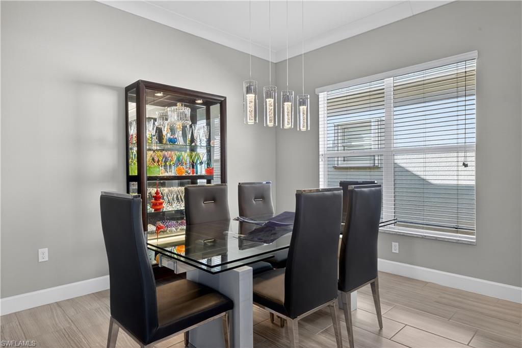 28732 Montecristo LOOP