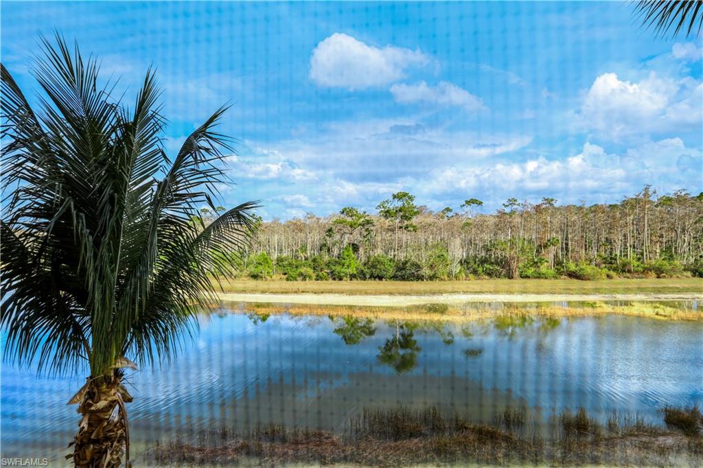 9590 Trevi CT # 5334