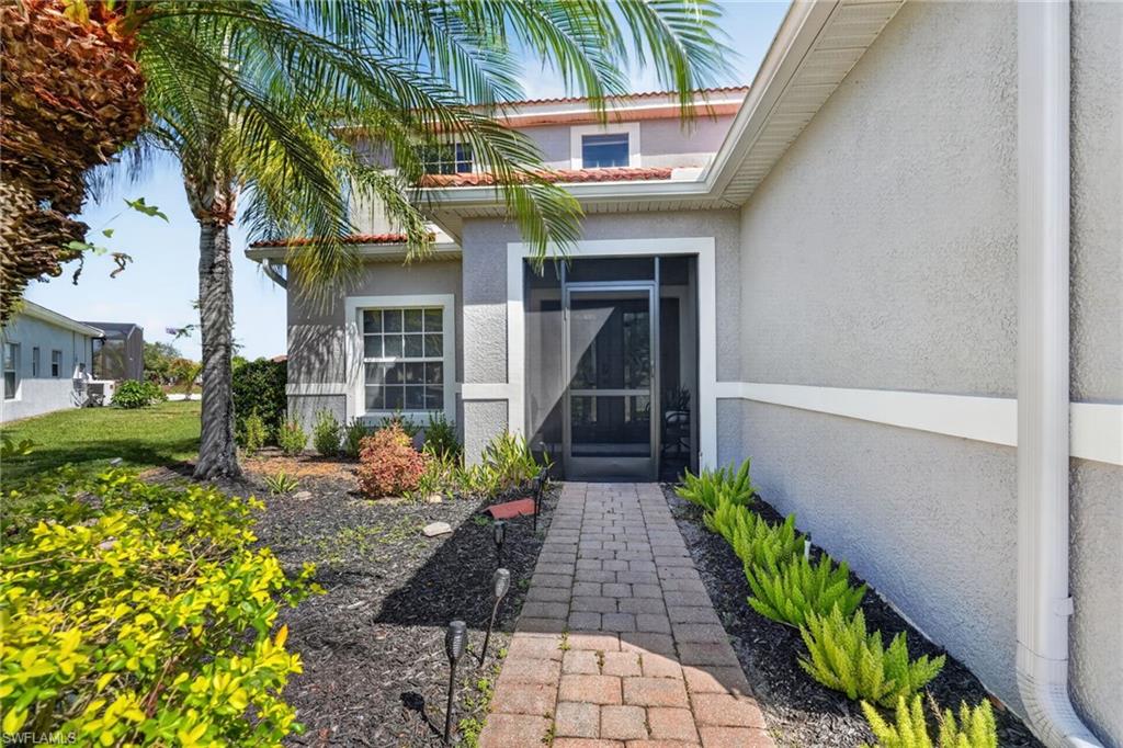 2645 Fishtail Palm CT