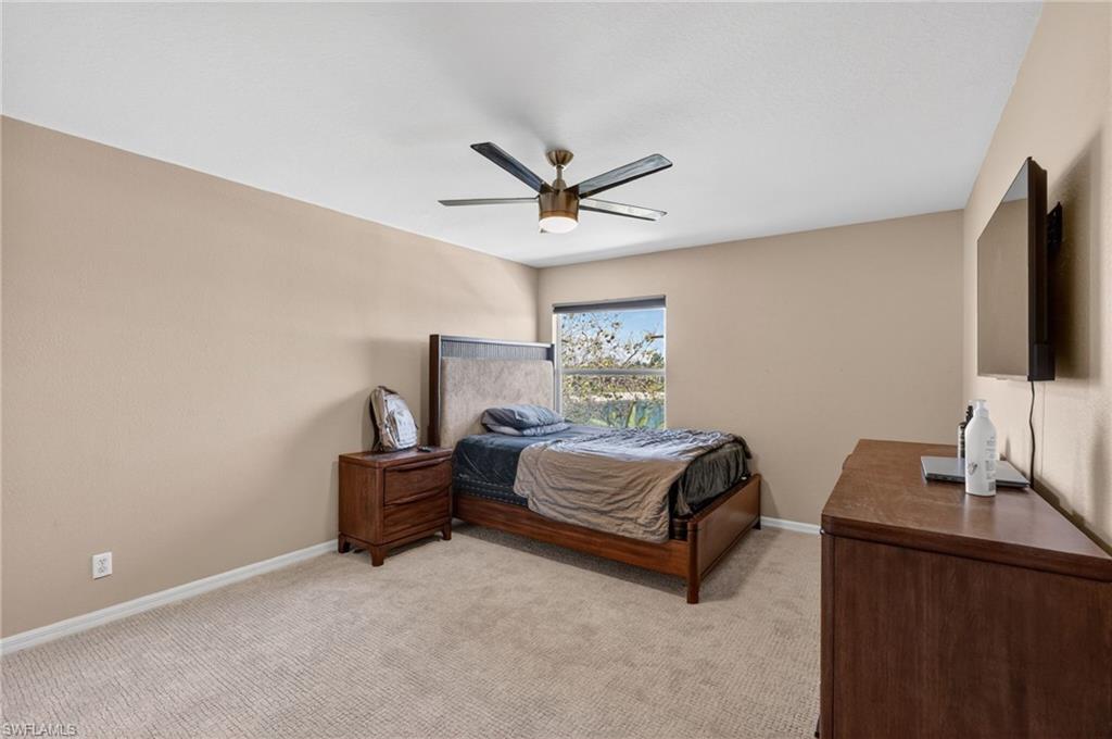 2645 Fishtail Palm CT