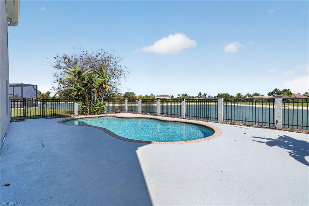 2645 Fishtail Palm CT
