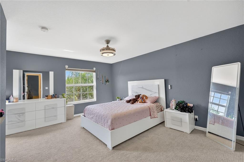 2645 Fishtail Palm CT