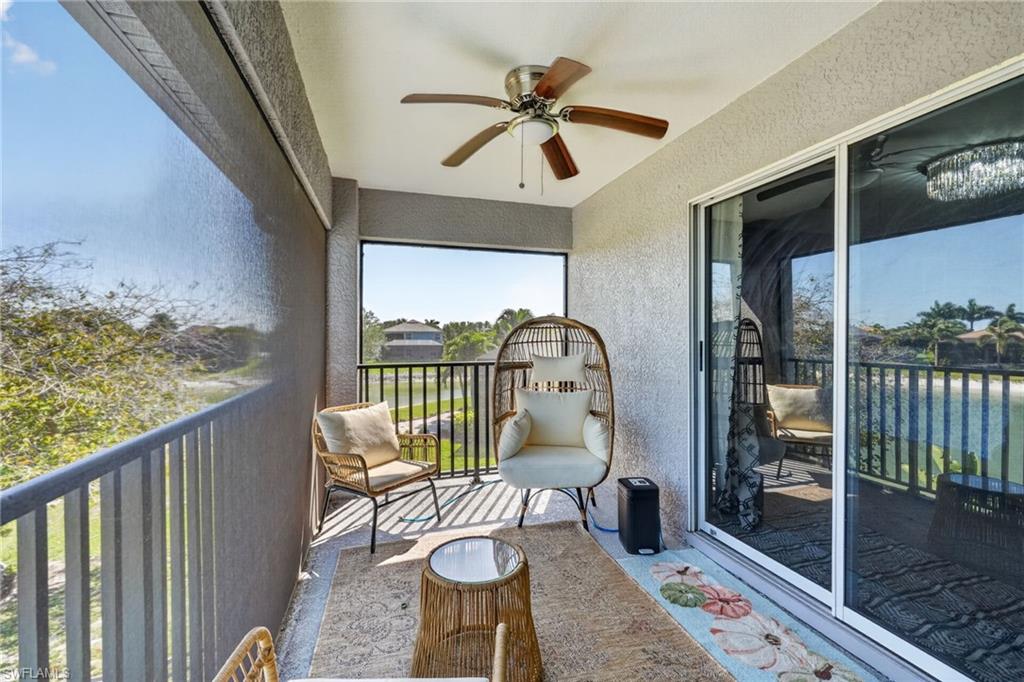 2645 Fishtail Palm CT