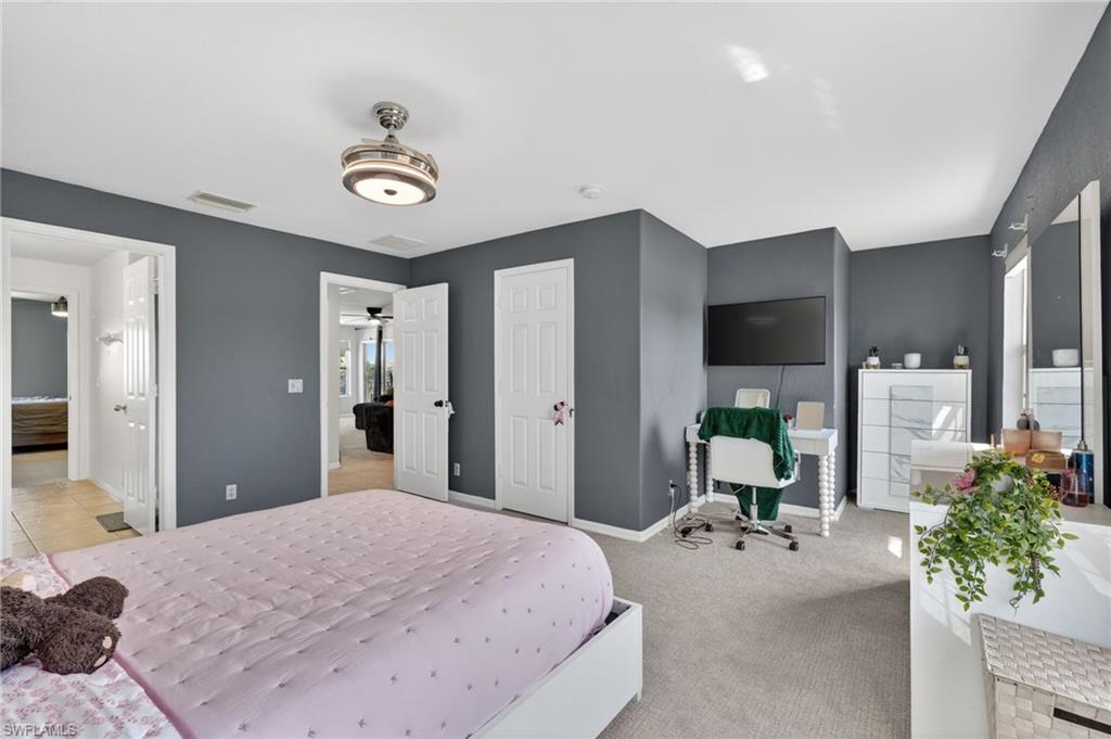 2645 Fishtail Palm CT