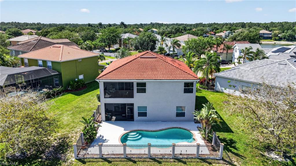 2645 Fishtail Palm CT