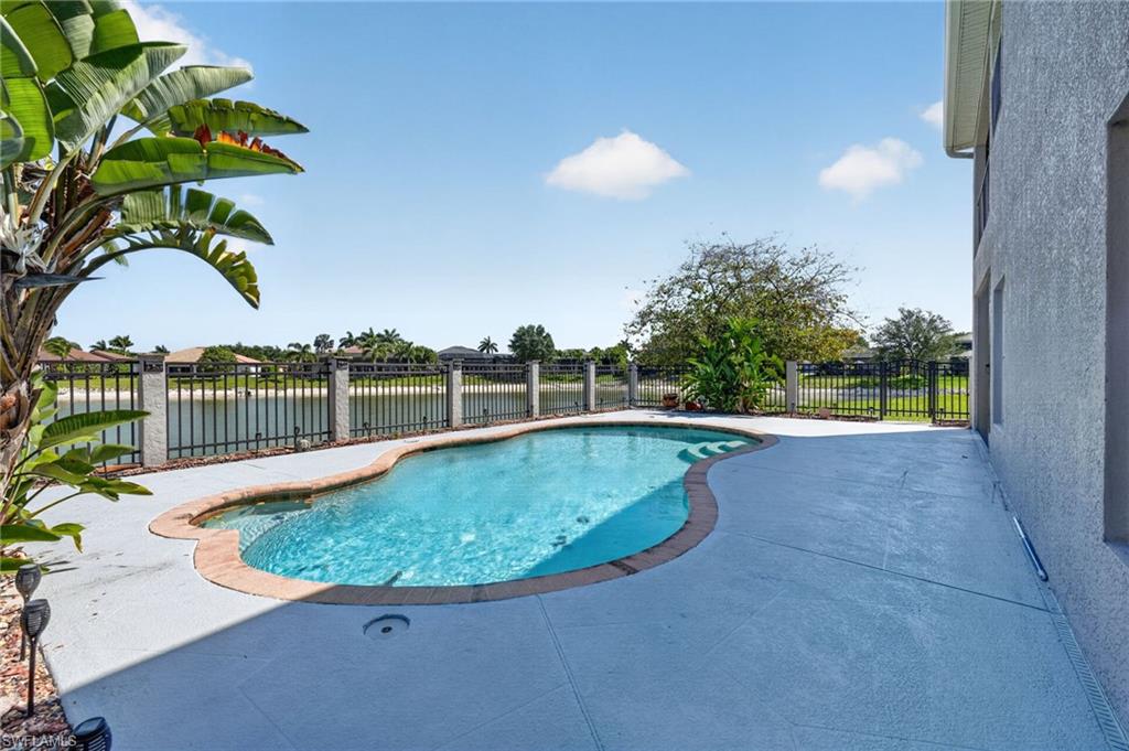 2645 Fishtail Palm CT