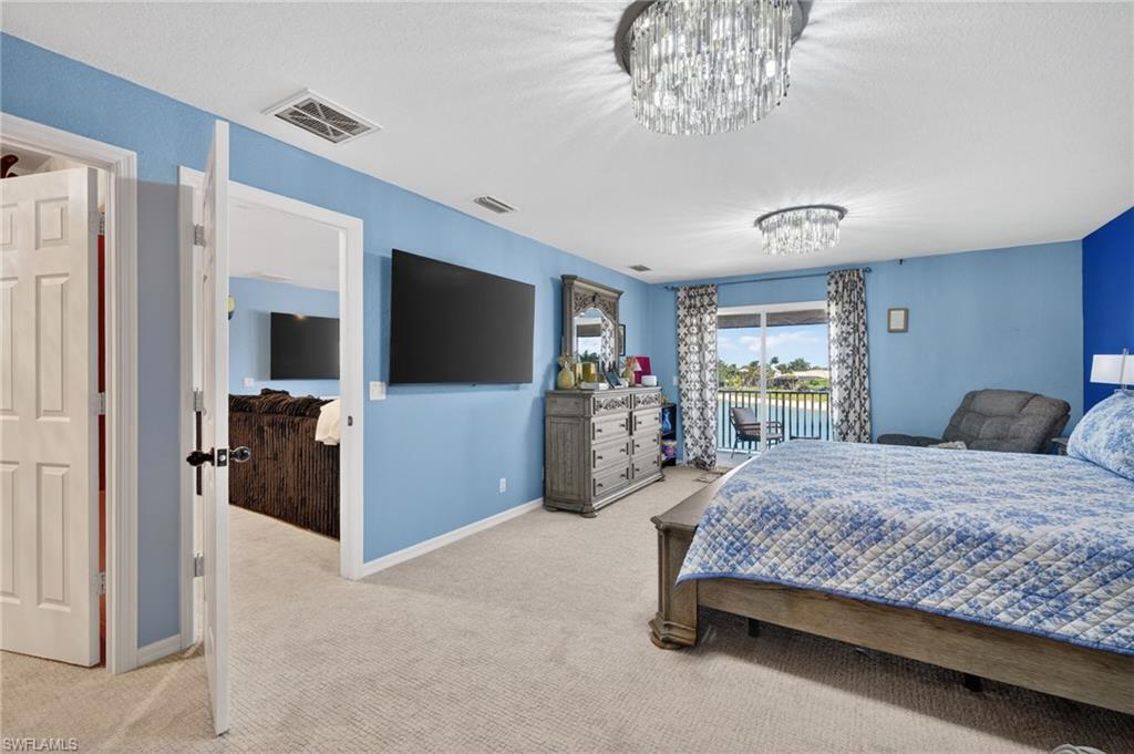 2645 Fishtail Palm CT