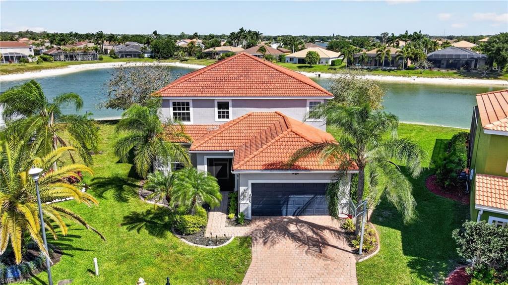 2645 Fishtail Palm CT