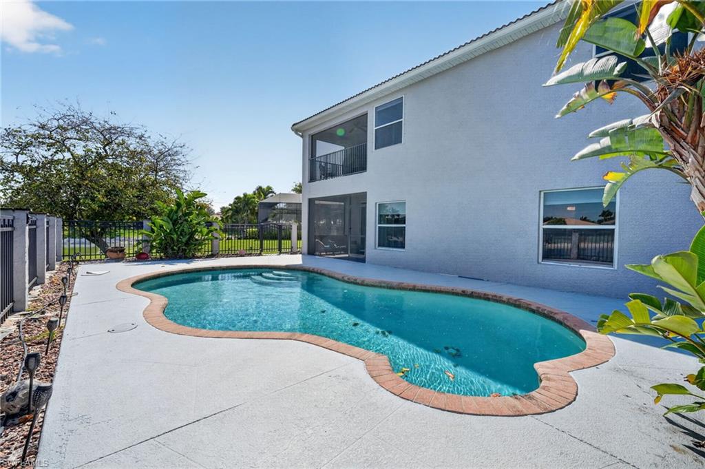 2645 Fishtail Palm CT