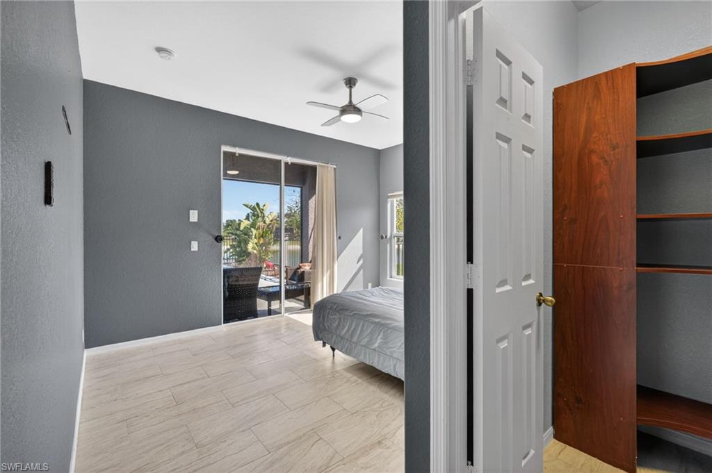 2645 Fishtail Palm CT