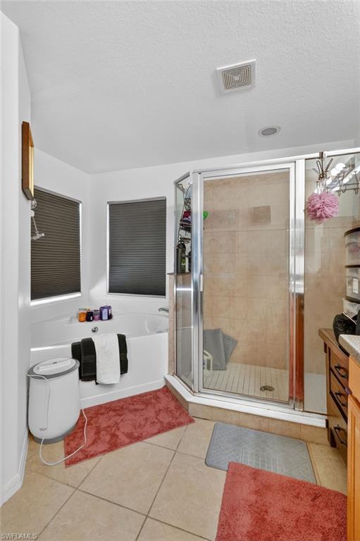 2645 Fishtail Palm CT