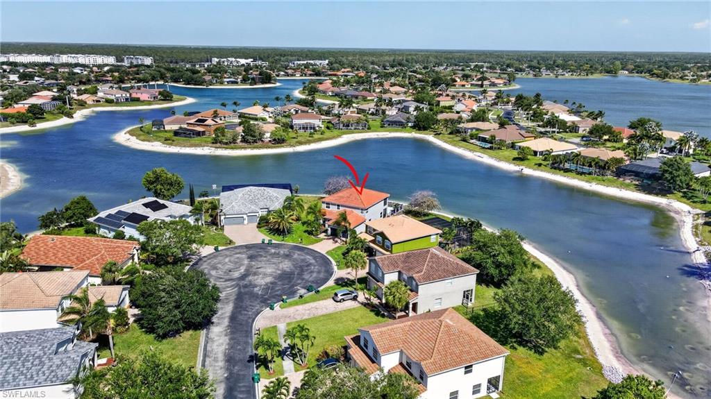 2645 Fishtail Palm CT