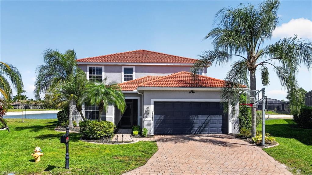 2645 Fishtail Palm CT